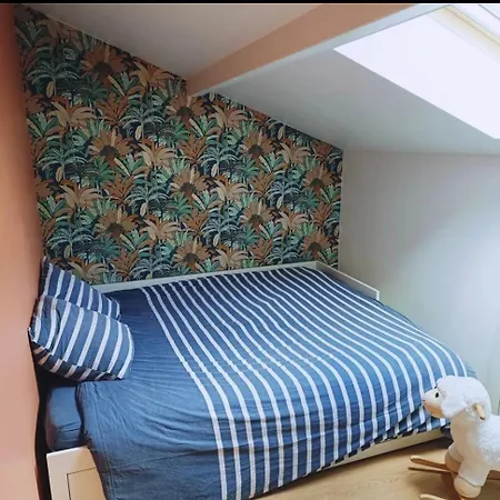 Charmante Maison De Semesterbostad Lyon